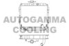 HYUNDAI 2531021852 Radiator, engine cooling